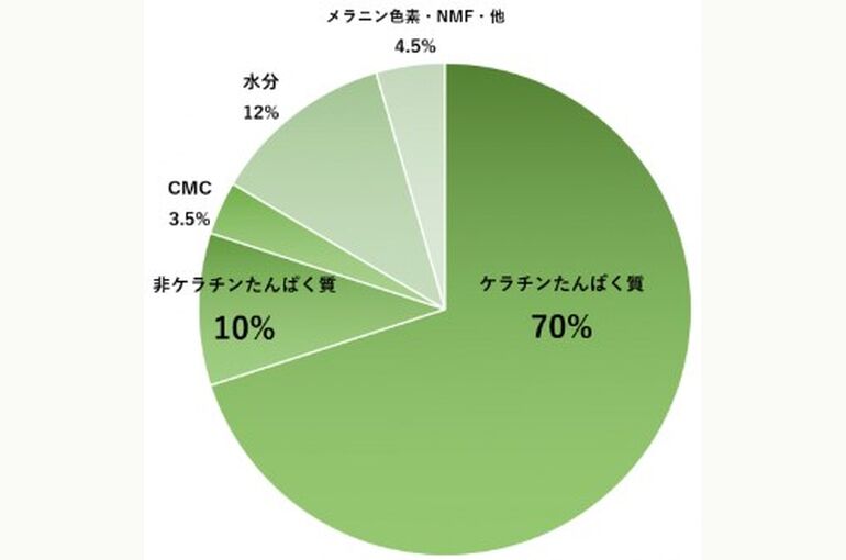 シャンプーの洗浄成分について